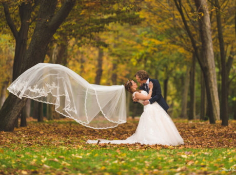 Luis & Laura | Boda + Postboda